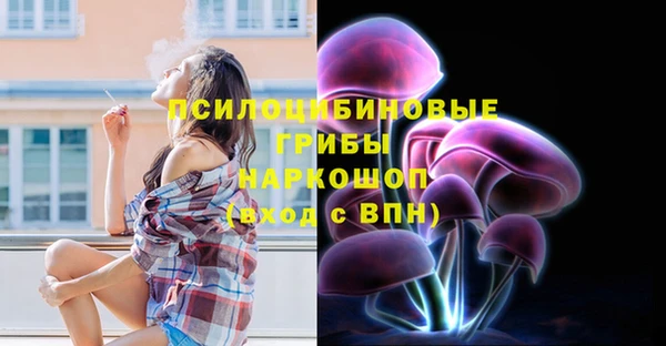 а пвп мука Богородск