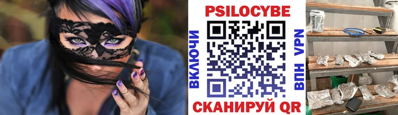 Галлюциногенные грибы Cubensis  как найти   Курильск 